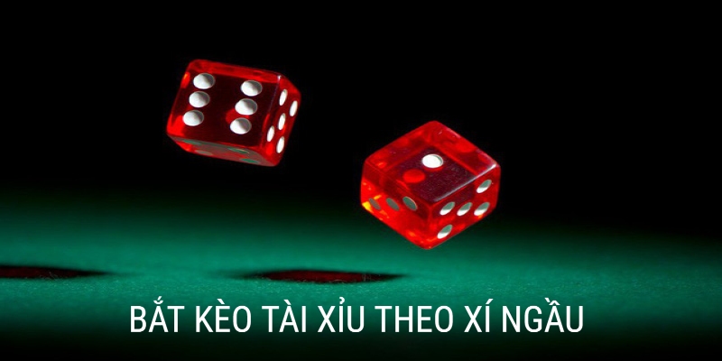 Bắt Kèo Tài Xỉu Xí Ngầu