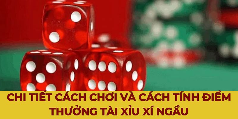 Chi tiết cách chơi và cách tính điểm thưởng tài xỉu xí ngầu