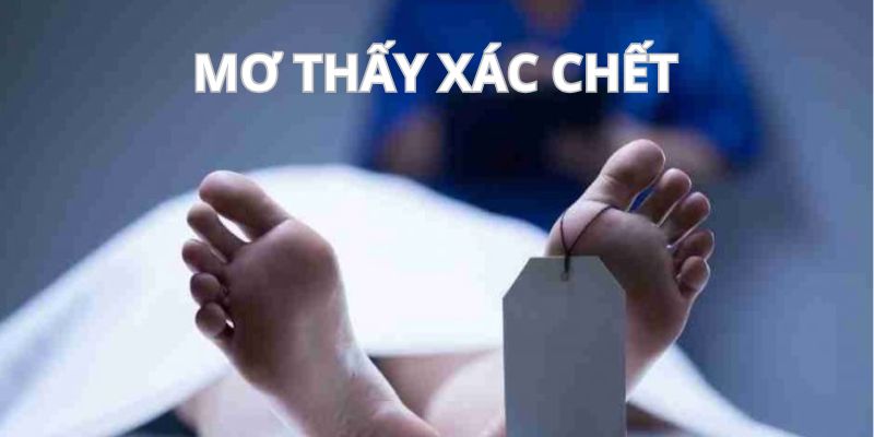 Mơ Thấy Xác Chết