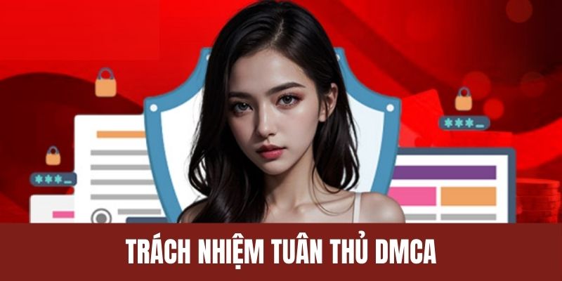 Trách nhiệm của người chơi và nhà cái để tuân thủ DMCA